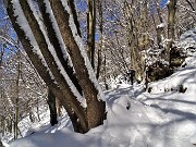 Monte Suchello (1541 m) da Costa Serina il 20 gennaio 2023  - FOTOGALLERY